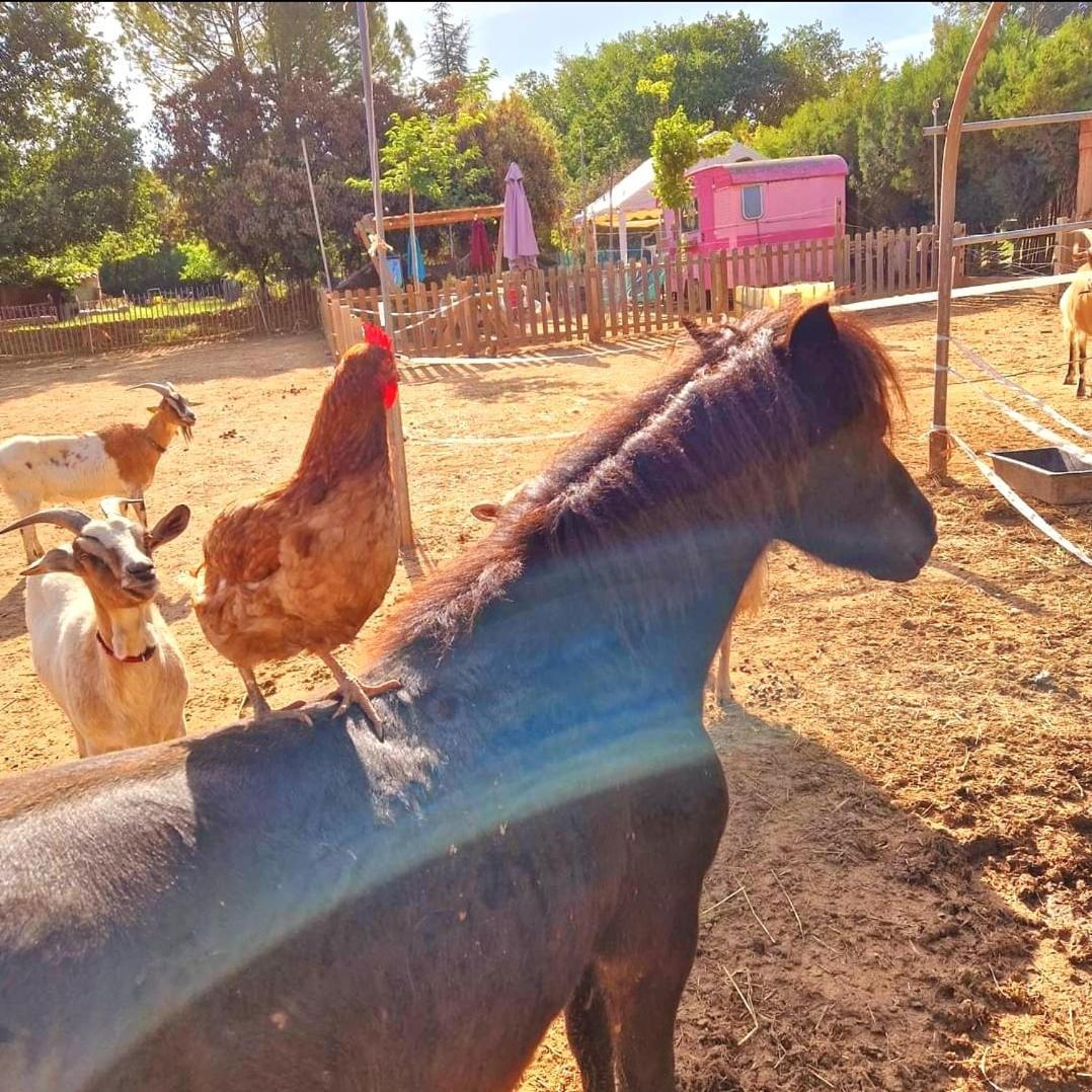 Sejour A La Ferme Villa Jouques Exterior foto